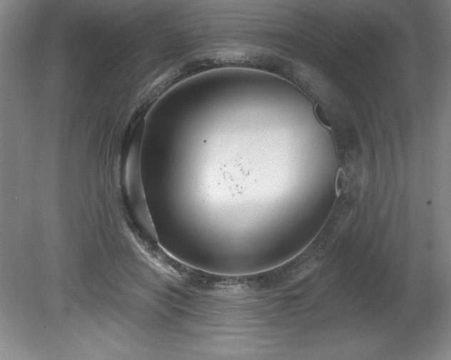 X0000081560454200701221031