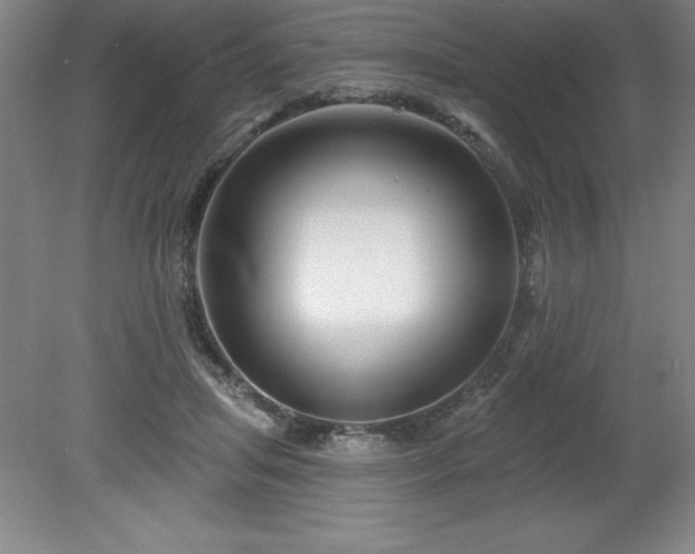 X0000081560455200701221031