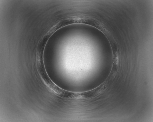 X0000081560456200701221031