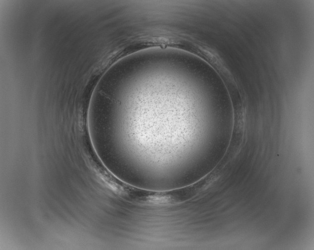 X0000081560457200701221031