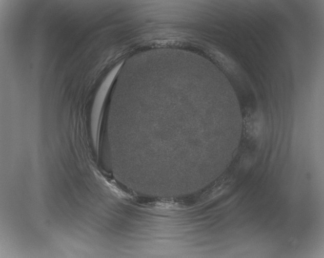 X0000081560458200701221031