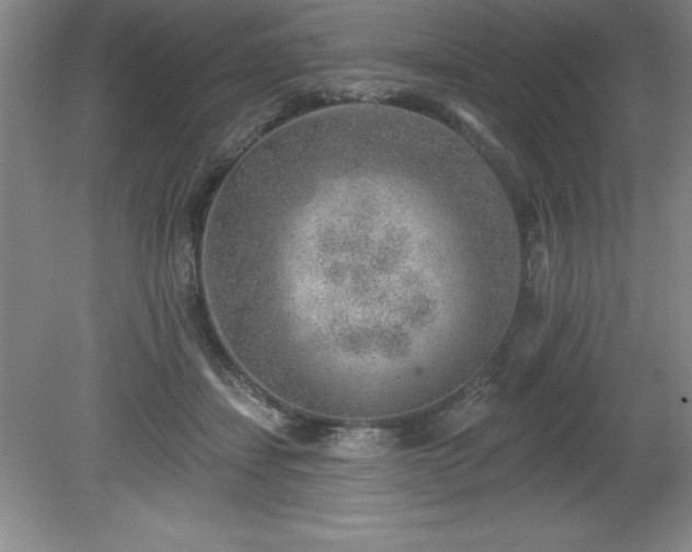 X0000081560459200701221031