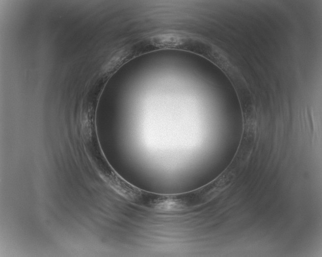 X0000081560460200701221031