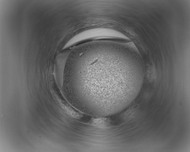 X0000081560461200701221031