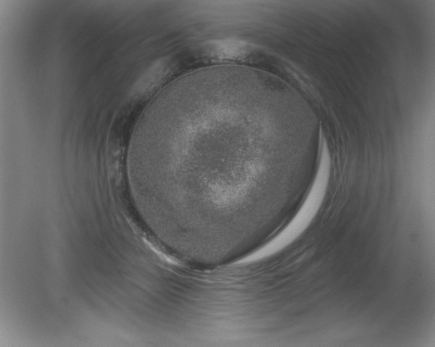 X0000081560462200701221031