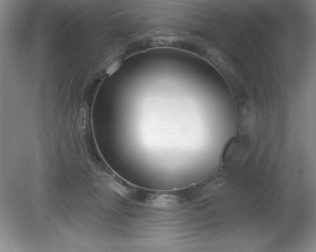 X0000081560463200701221031