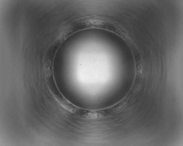 X0000081560464200701221031