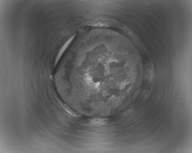 X0000081560465200701221031