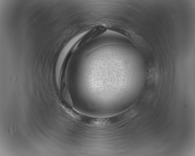 X0000081560466200701221031