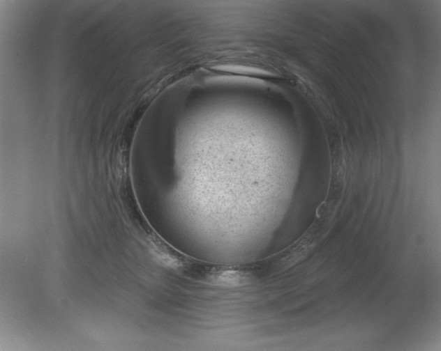 X0000081560467200701221031