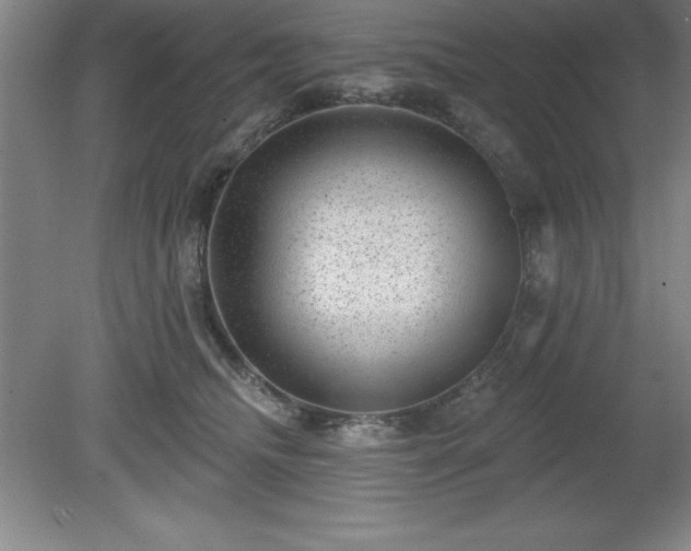 X0000081560468200701221031