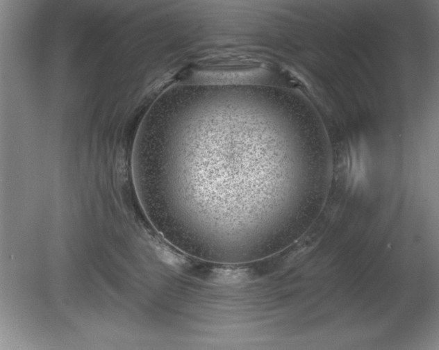 X0000081560469200701221031