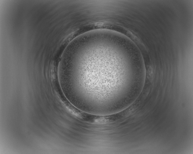 X0000081560470200701221031