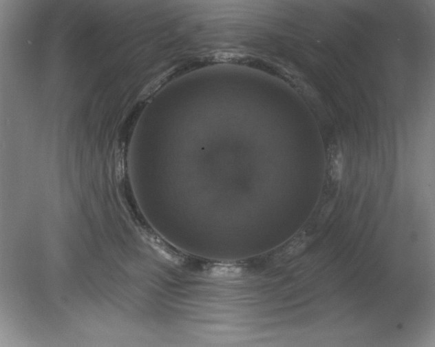 X0000081560471200701221031