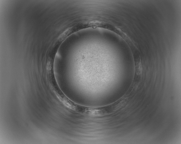 X0000081560472200701221031