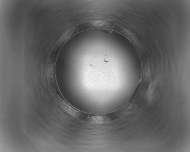 X0000081560473200701221031