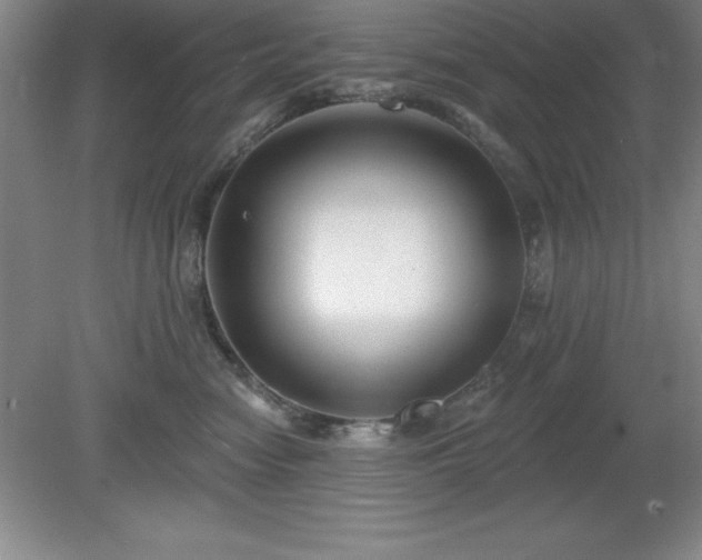 X0000081560474200701221031