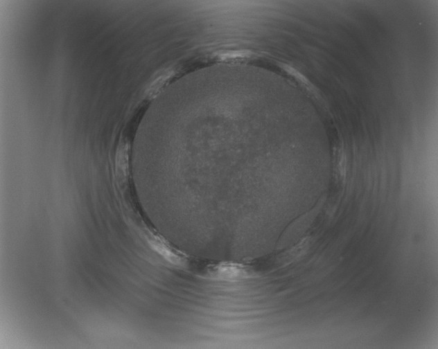 X0000081560475200701221031