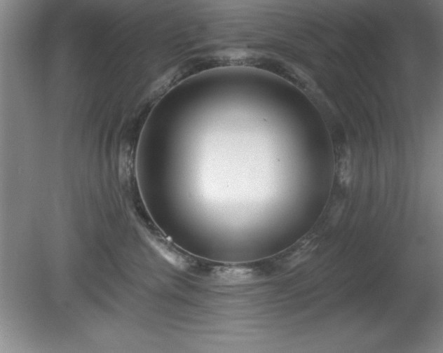 X0000081560476200701221031