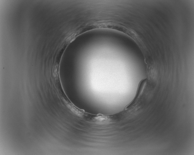 X0000081560477200701221031