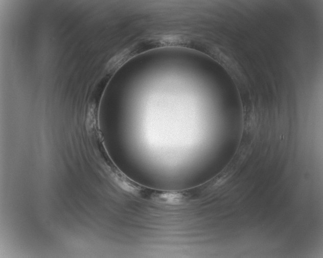 X0000081560478200701221032