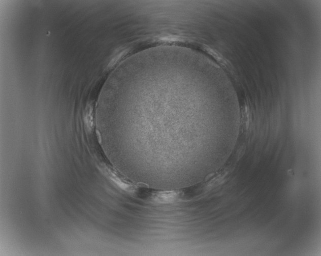 X0000081560479200701221032