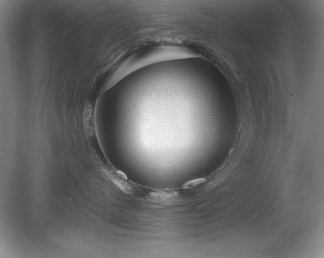 X0000081560480200701221032