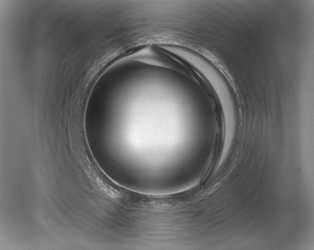 X0000081560481200701221031