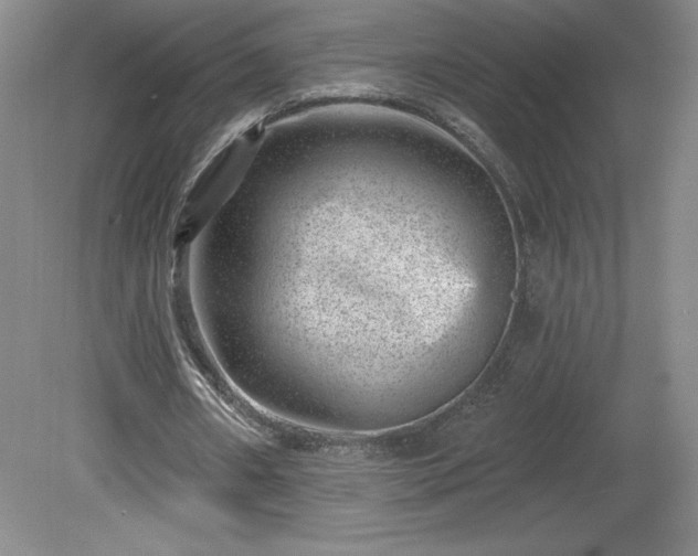 X0000081560482200701221031