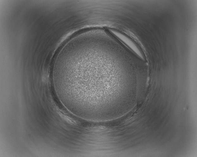 X0000081560483200701221031