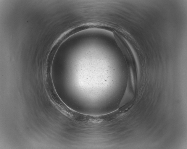 X0000081560484200701221031