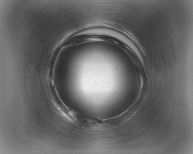 X0000081560485200701221031