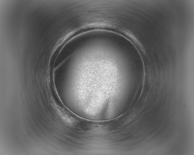 X0000081560486200701221031