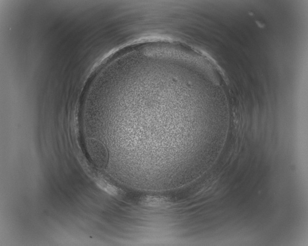 X0000081560487200701221031