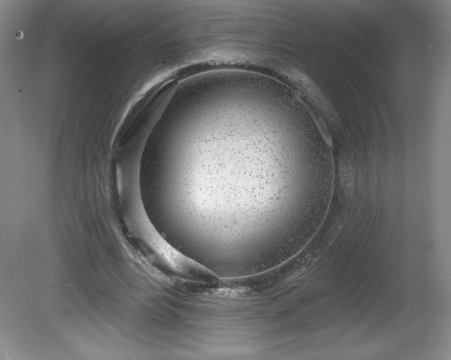 X0000081560488200701221031