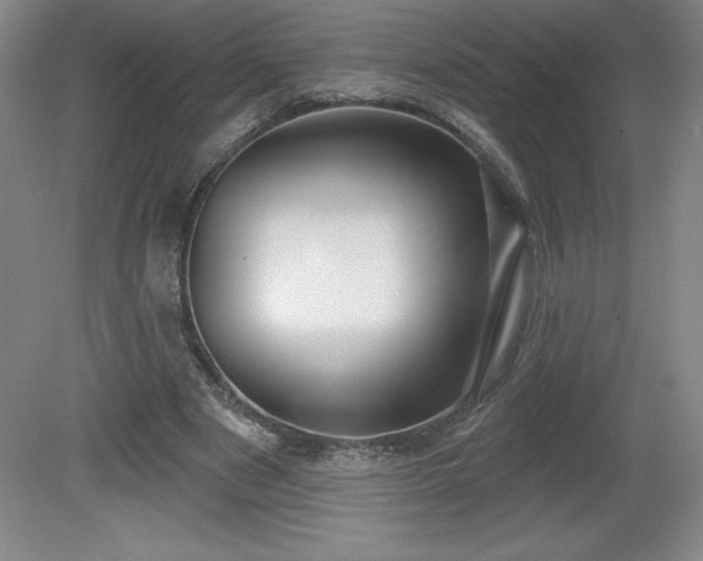 X0000081560489200701221031