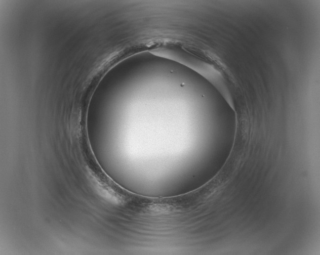 X0000081560490200701221031