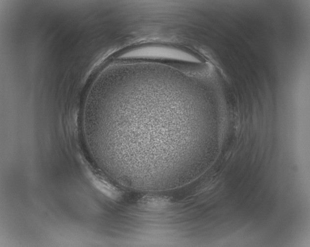 X0000081560491200701221031