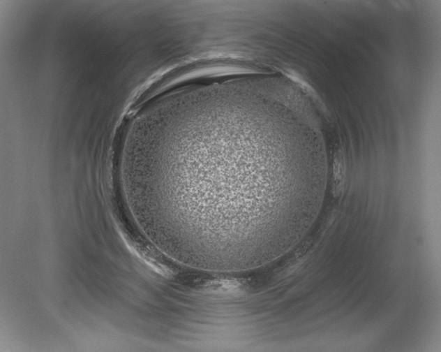 X0000081560492200701221031