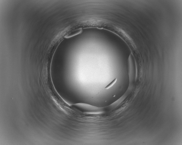 X0000081560493200701221031