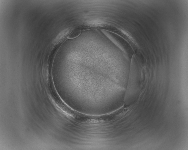 X0000081560494200701221031