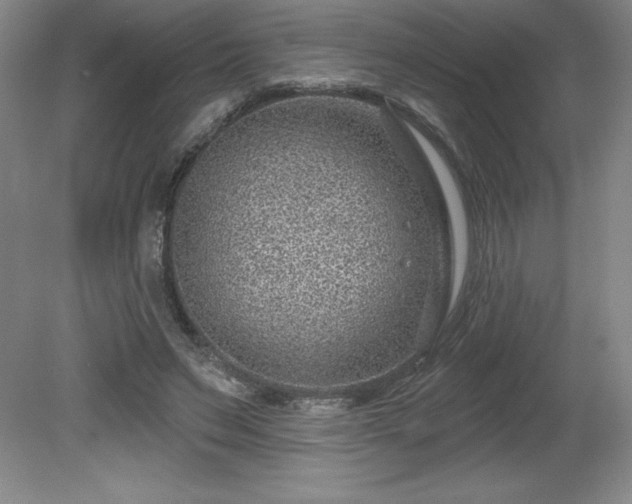 X0000081560495200701221031