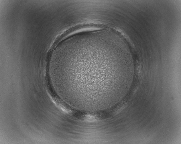 X0000081560496200701221030