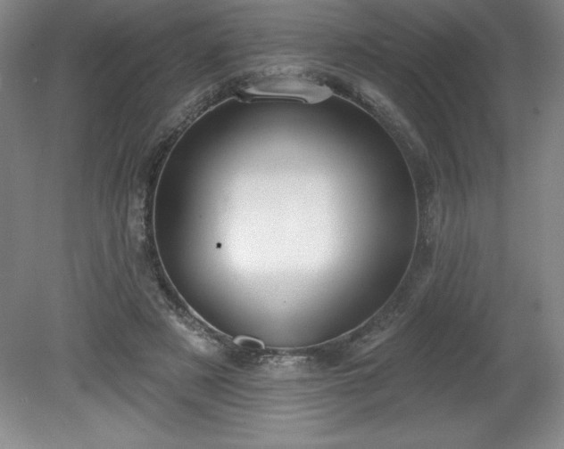 X0000081560497200701221030