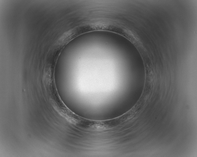 X0000081560498200701221030