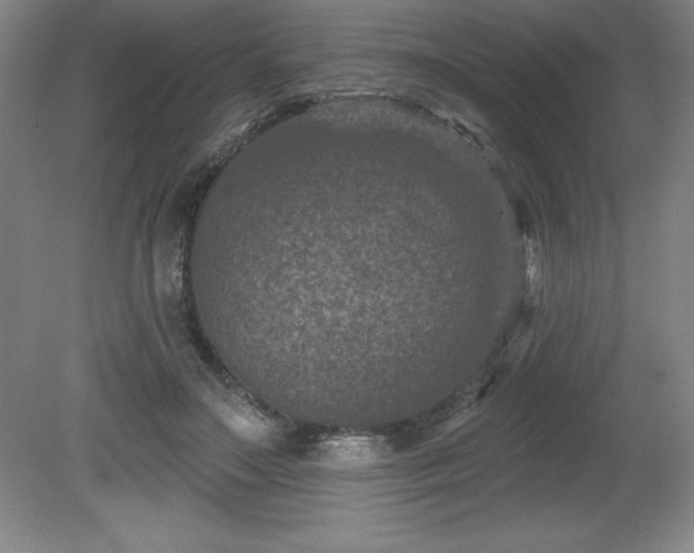 X0000081560499200701221030