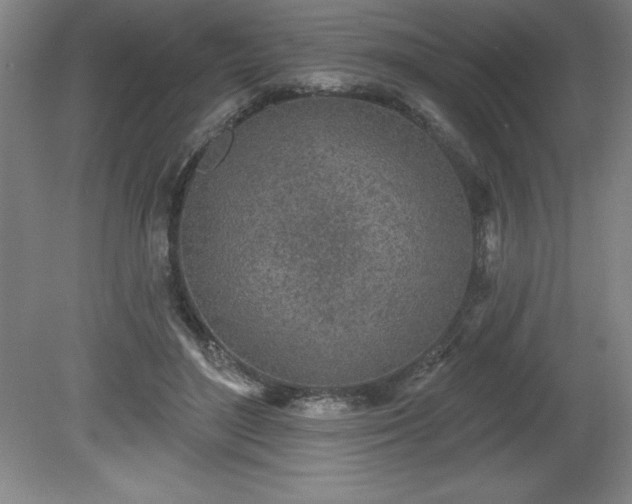 X0000081560500200701221030