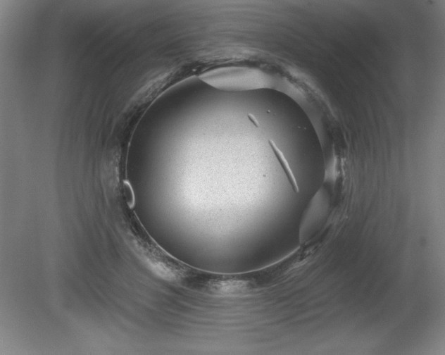 X0000081560501200701221030