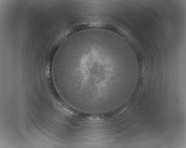 X0000081560502200701221030