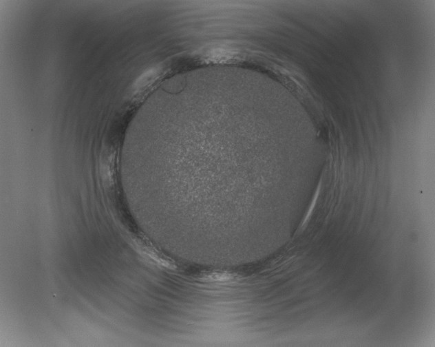 X0000081560503200701221030